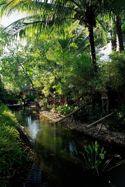 Centara Tropicana Koh Chang Resort & Spa 14 - Garden