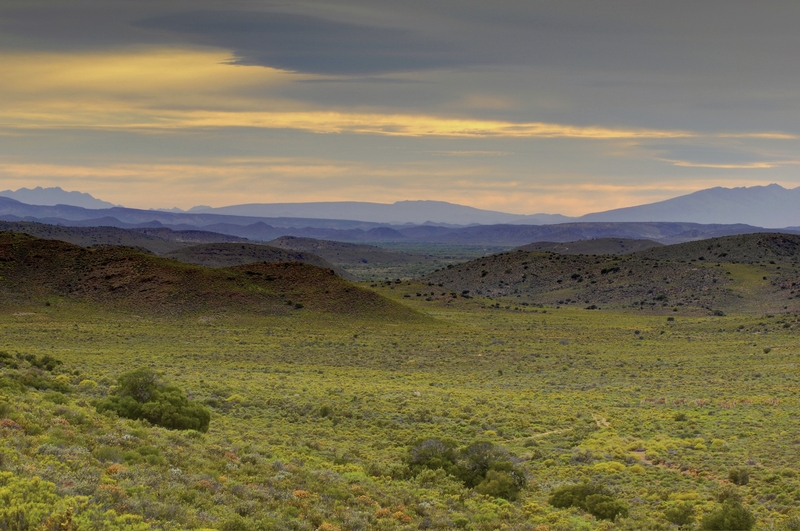 Sanbona Wildlife Reserve 20