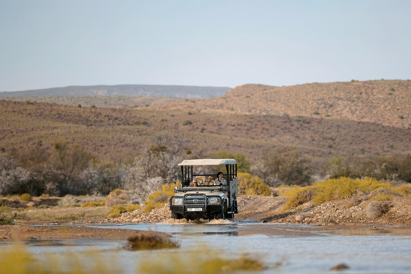 Sanbona Wildlife Reserve 21
