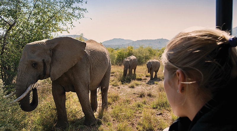 Bakubung Bush Lodge 2
