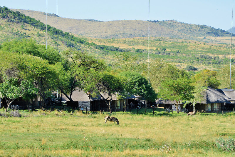 Bakubung Bush Lodge 12
