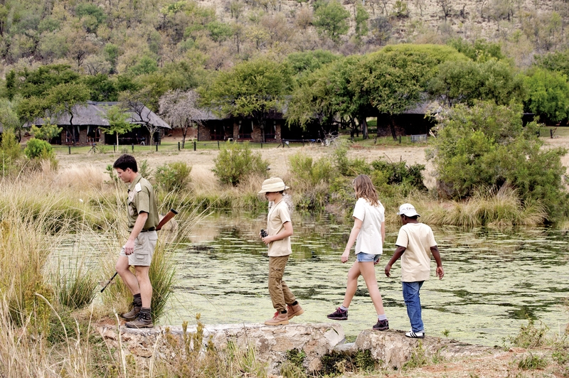 Bakubung Bush Lodge 13