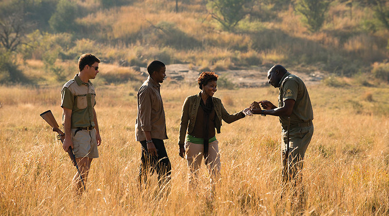 Bakubung Bush Lodge 14