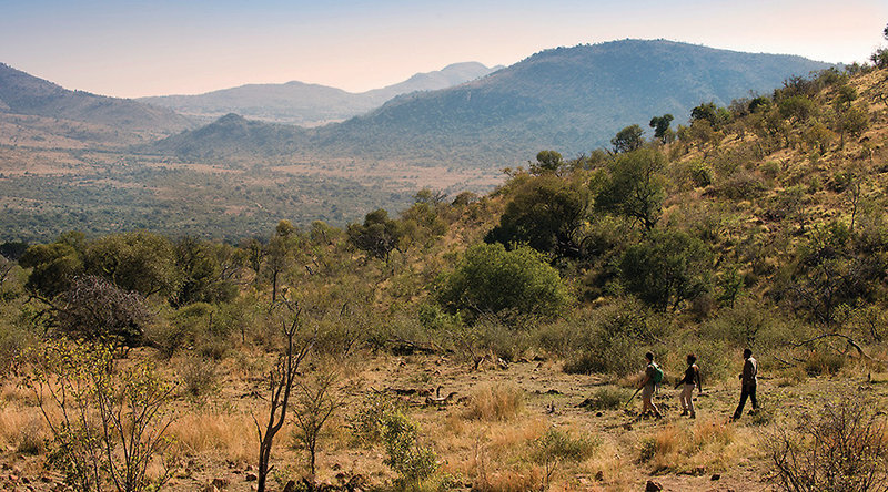Bakubung Bush Lodge 17