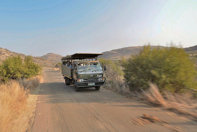Bakubung Bush Lodge 26