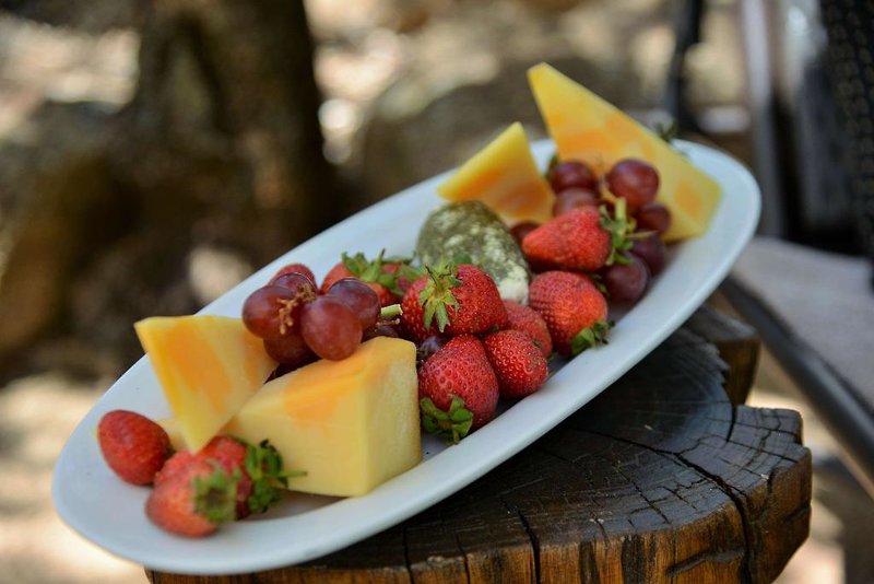 Tshukudu Bush Lodge 1