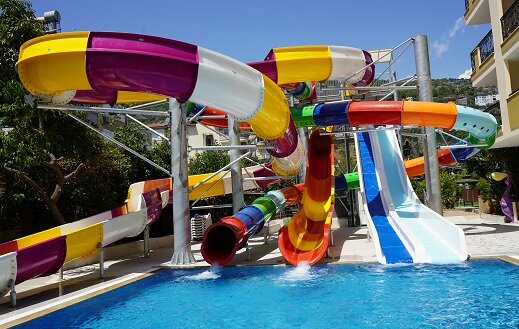 Kleopatra Royal Palm 7