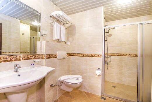 Kleopatra Royal Palm 17