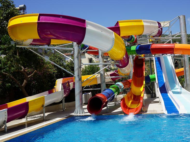 Kleopatra Royal Palm 3