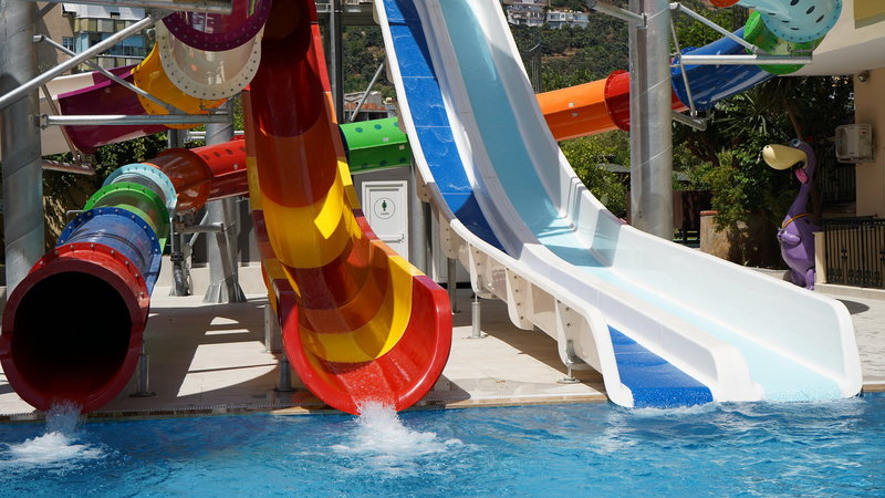 Kleopatra Royal Palm 9