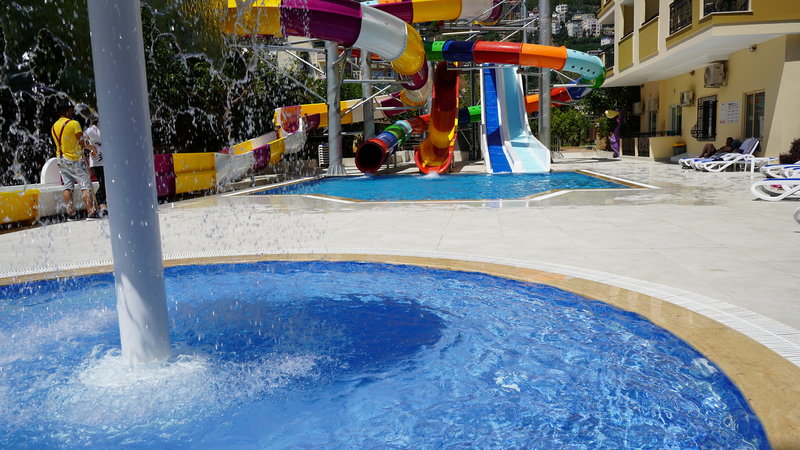 Kleopatra Royal Palm 10