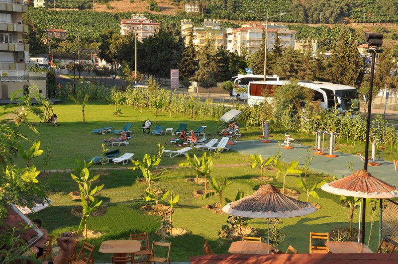 Kleopatra Royal Palm 7