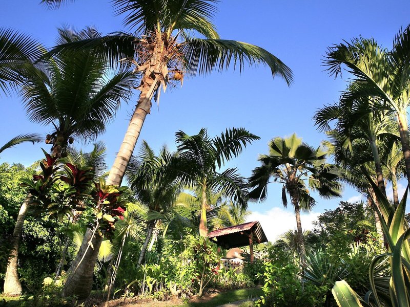Hotel - Résidence Habitation Grande Anse 9