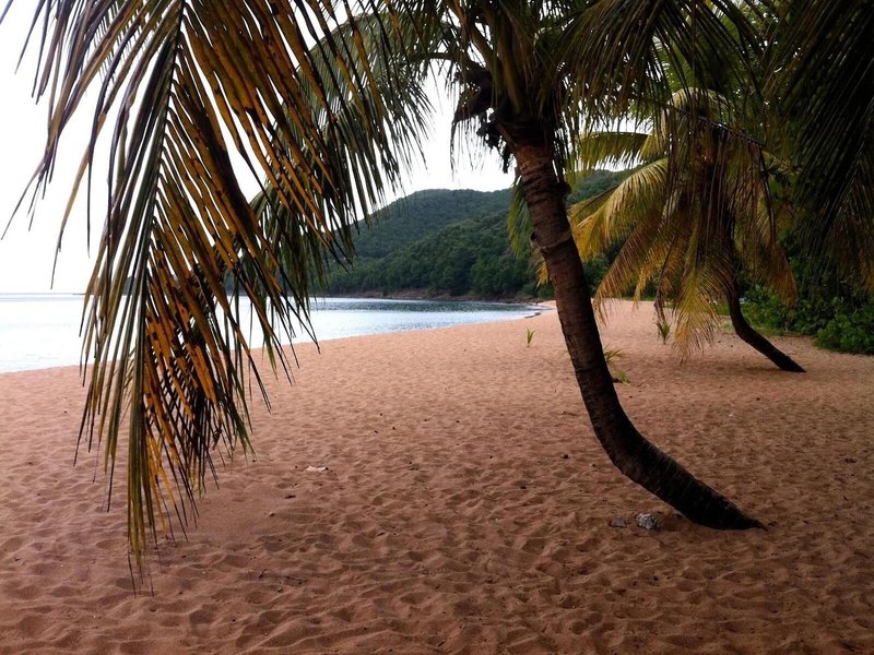 Hotel - Résidence Habitation Grande Anse 13