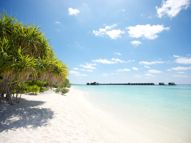 LUX* South Ari Atoll 6
