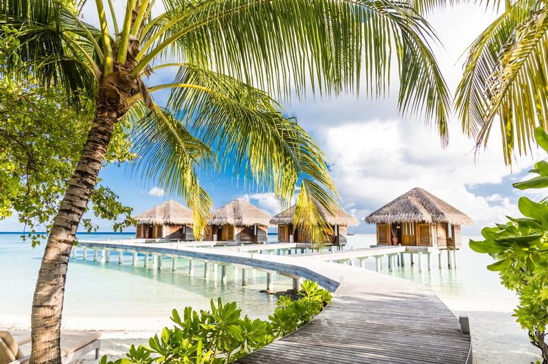 LUX* South Ari Atoll 66