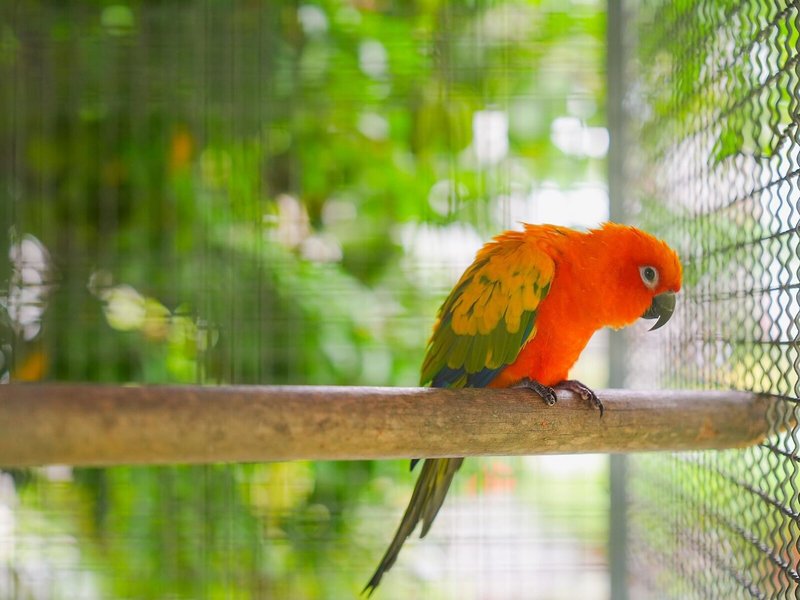 Pinnacle Grand Jomtien Resort & Beach Club 24