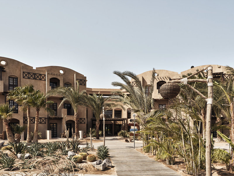 Arena Inn demnächst Cooks Club El Gouna 8