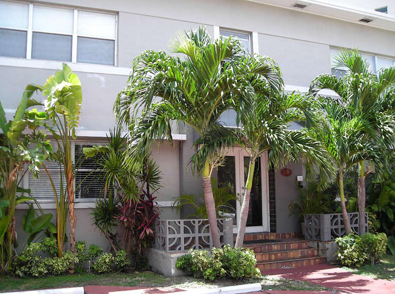 Freehand Miami 6