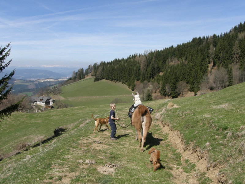 Biolandhaus Arche 44