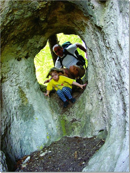 Biolandhaus Arche 45