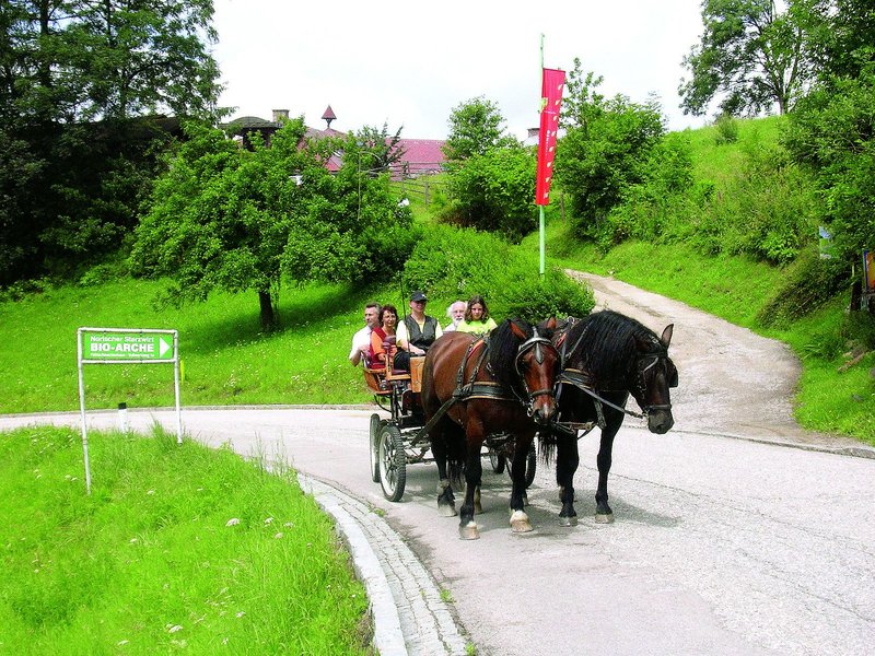 Biolandhaus Arche 48