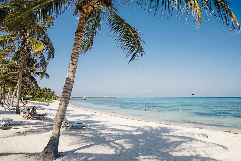 Pavo Real Beach Resort 2