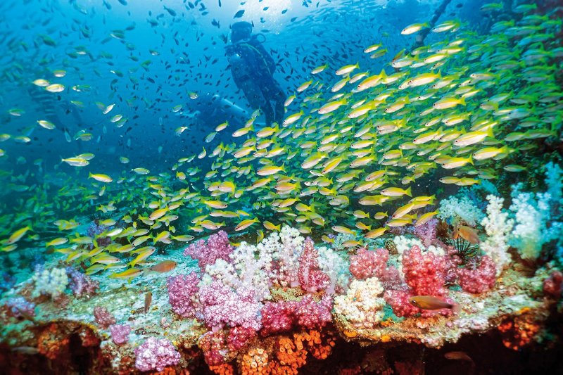 Phi Phi Island Village Beach Resort 26