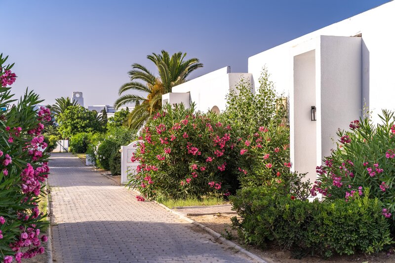 Mirage Beach Club 54