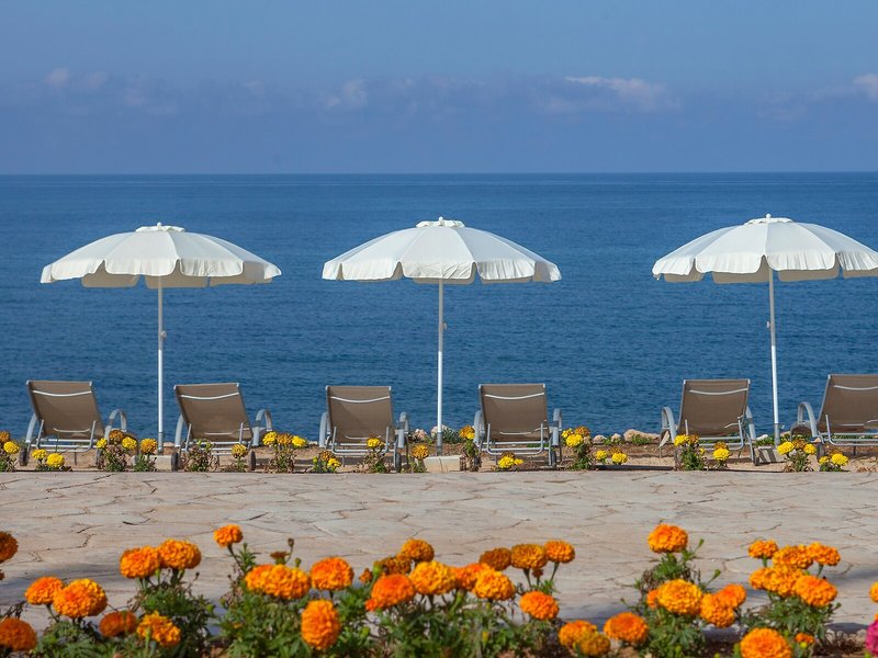 King Evelthon Beach Hotel & Resort 7