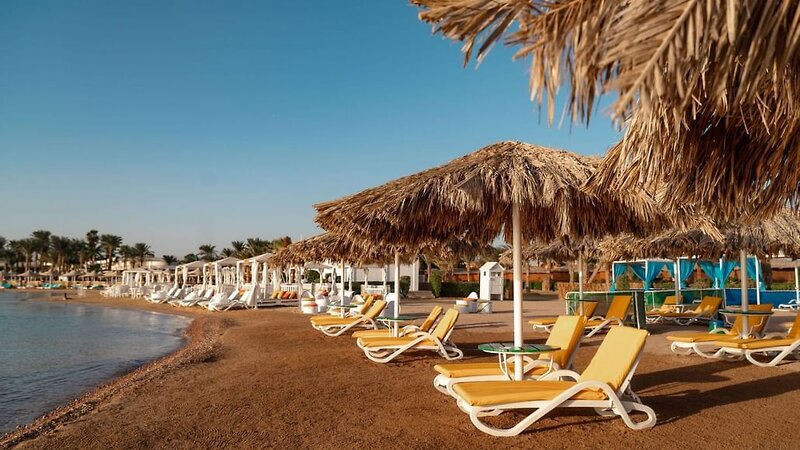 Lemon & Soul Garden Makadi 5