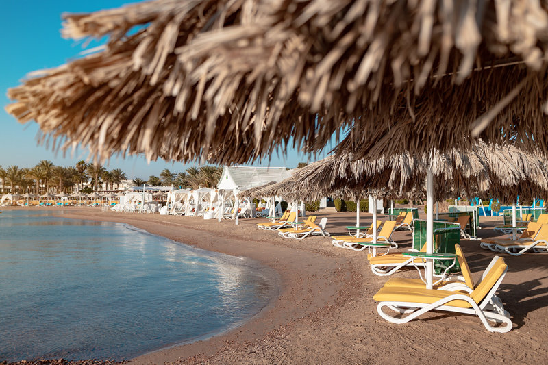 Lemon & Soul Garden Makadi 5