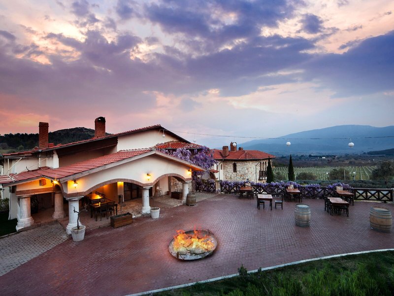 Vinifera Vineyards Hotel 2