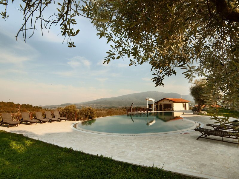 Vinifera Vineyards Hotel 8