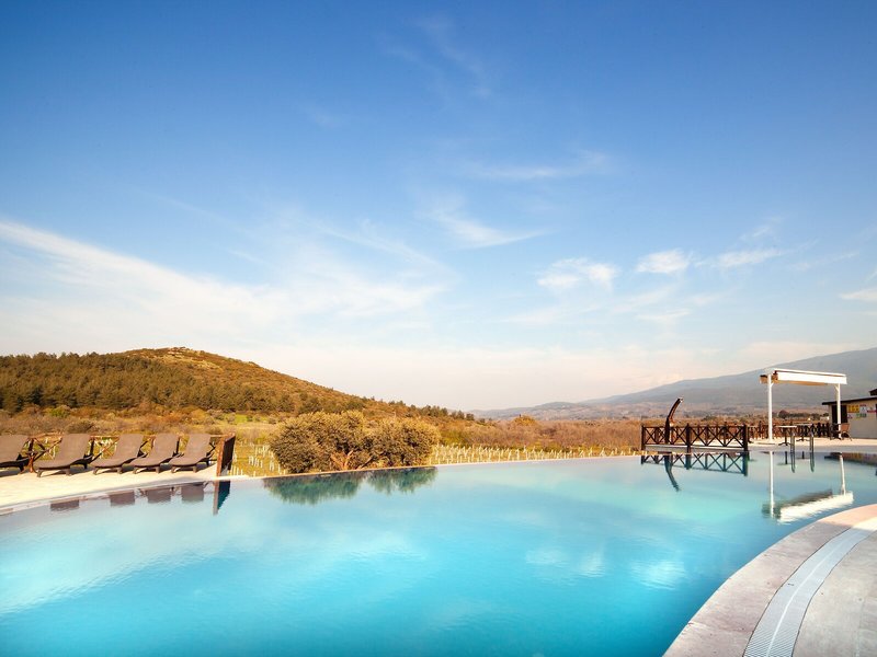 Vinifera Vineyards Hotel 9