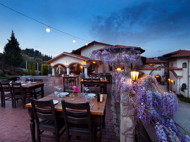 Vinifera Vineyards Hotel 11