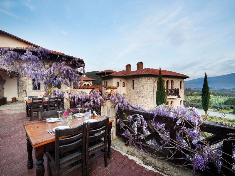 Vinifera Vineyards Hotel 12