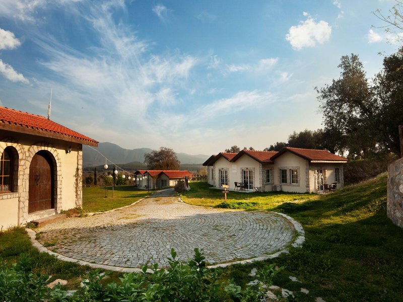 Vinifera Vineyards Hotel 13