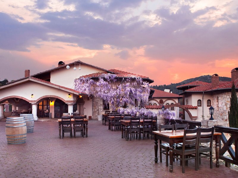 Vinifera Vineyards Hotel 14