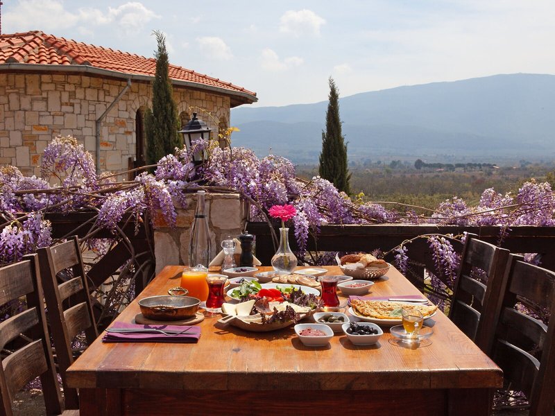 Vinifera Vineyards Hotel 15