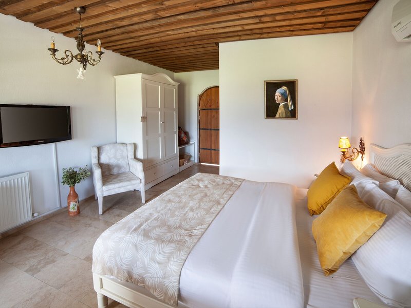 Vinifera Vineyards Hotel 31