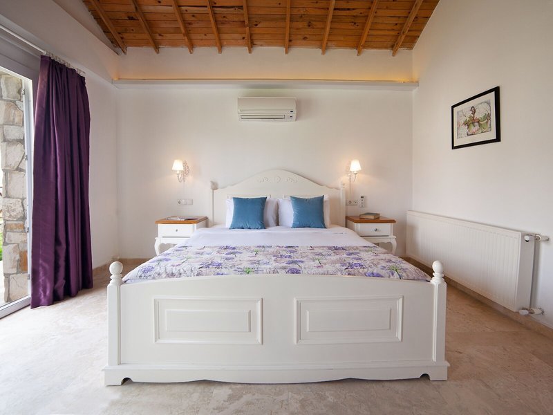 Vinifera Vineyards Hotel 41