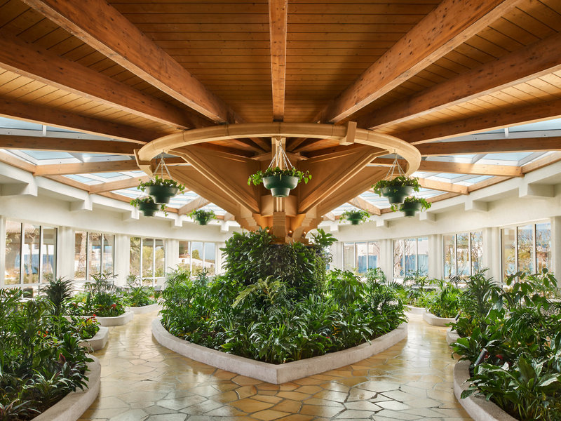 Banana Island Resort Doha by Anantara 12
