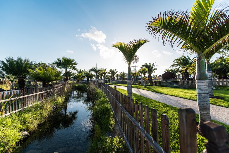 THB Tropical Island 17