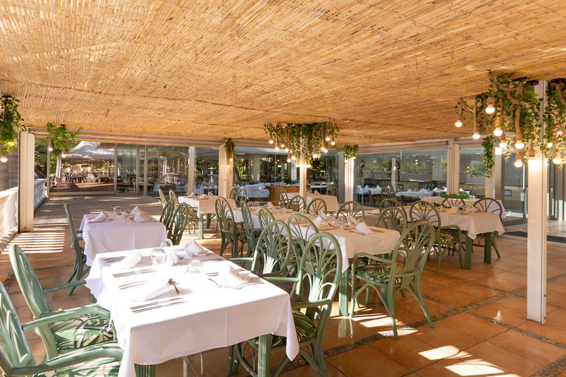 Mar Hotels Paguera & Spa 7