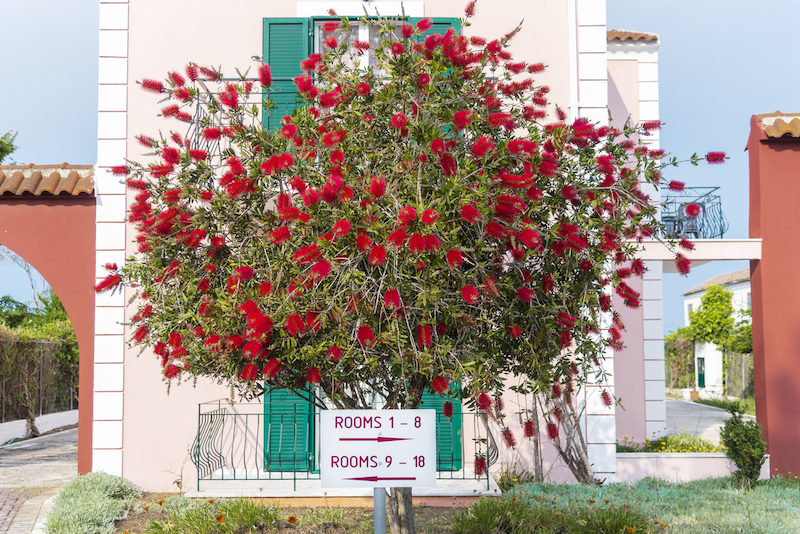 Fardini Seaside Hotel 6