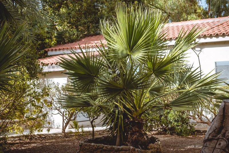 Iphigenia Mythic Retreat 18