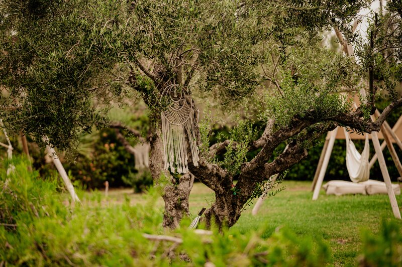 Iphigenia Mythic Retreat 22
