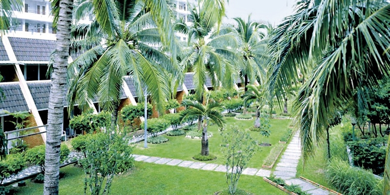 Patong Resort 5