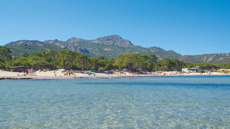 La Caravelle Calvi 27 - Beach